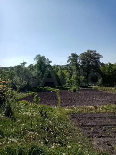 Купить Дом Селявное Область Лискинский Район