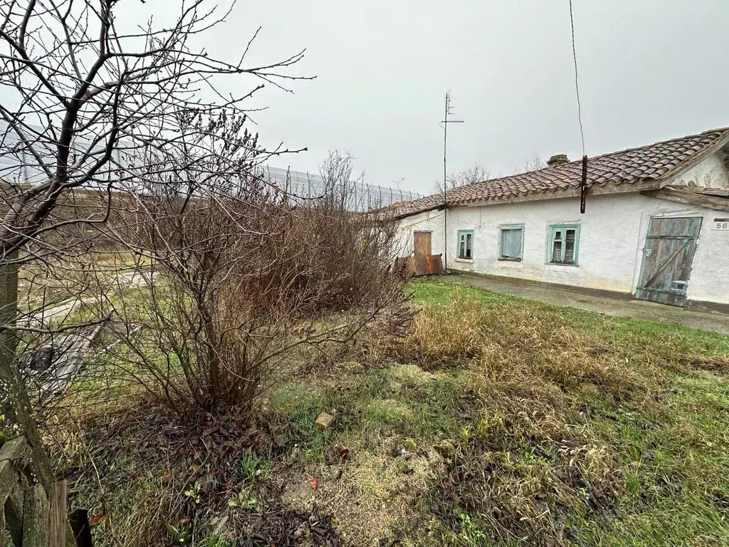 Участок в Крым, Кировский район, с. Приветное ул. Партизанская, 56/1 ... - Фото 2