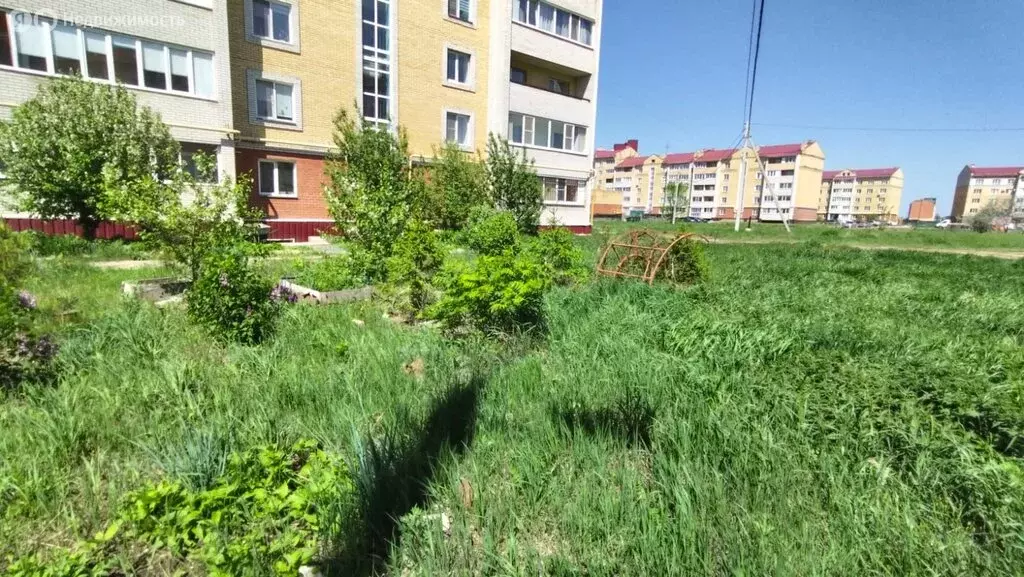 Офис (53.3 м) - Фото 0