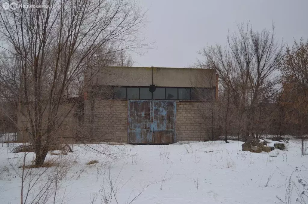 Помещение свободного назначения (290 м) - Фото 2