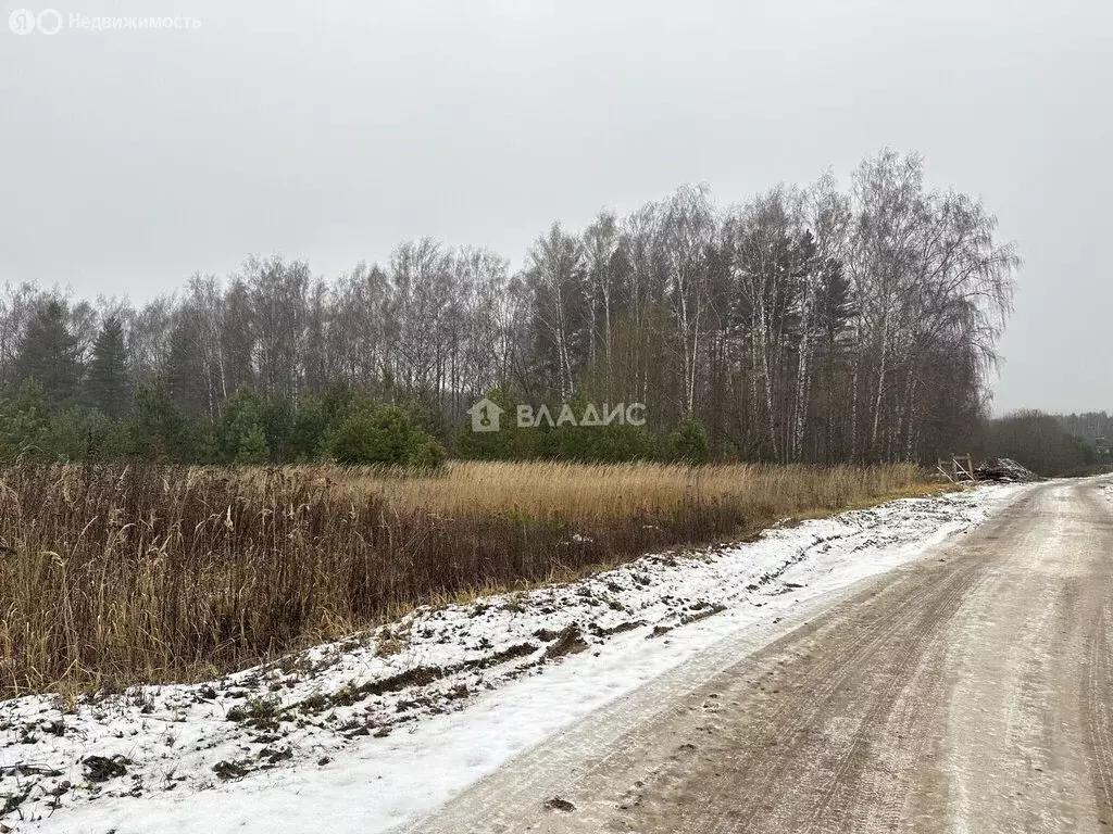 Участок в Суздальский район, муниципальное образование ... - Фото 1