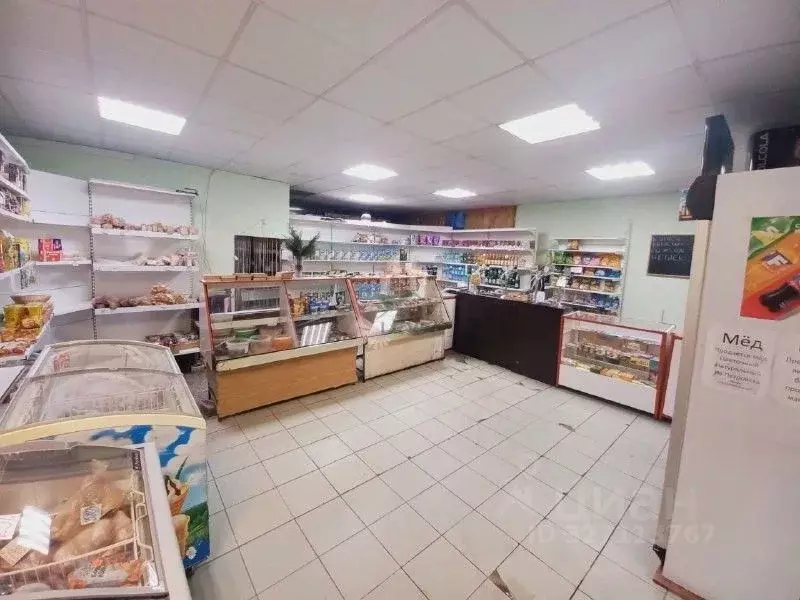 Помещение свободного назначения в Саратовская область, Саратов Беговой ... - Фото 2