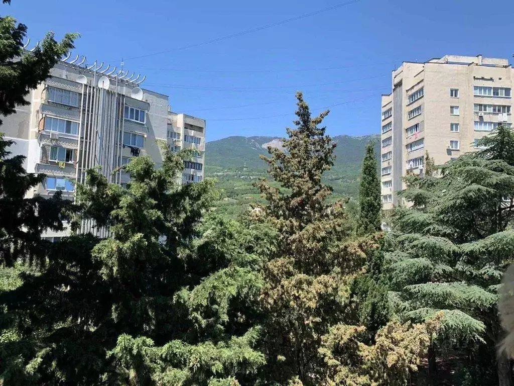 3-к кв. Крым, Алушта муниципальный округ, Партенит пгт ш. Фрунзенское, ... - Фото 2