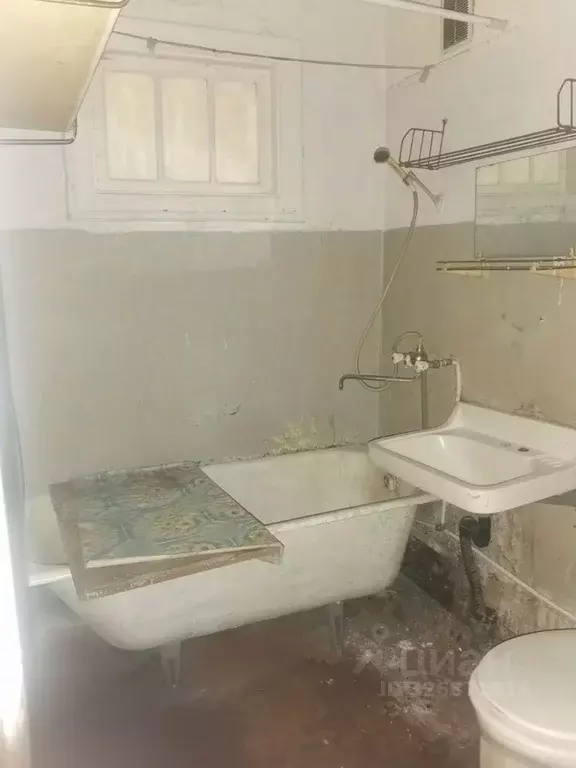 1-к кв. Ленинградская область, Сланцы ул. Ломоносова, 48А (30.0 м) - Фото 2