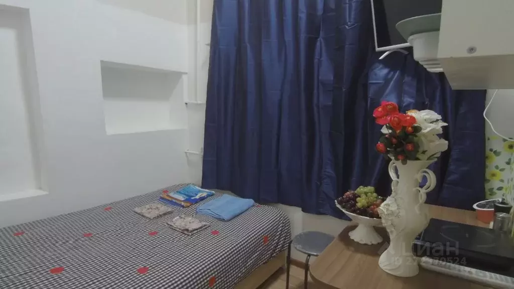 Студия Московская область, Электроугли Богородский городской округ, ... - Фото 2