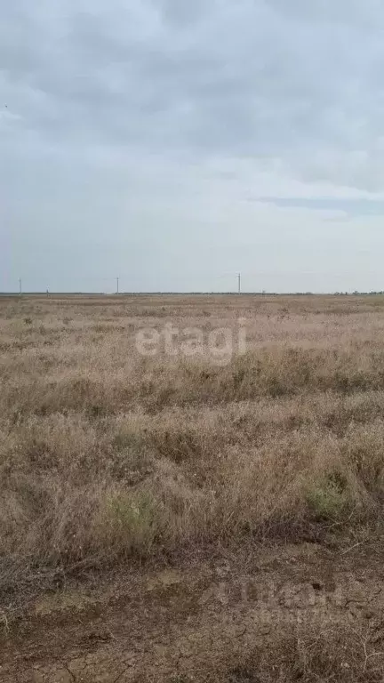 Участок в Крым, Сакский район, с. Молочное ул. Пионерская (6.0 сот.) - Фото 1