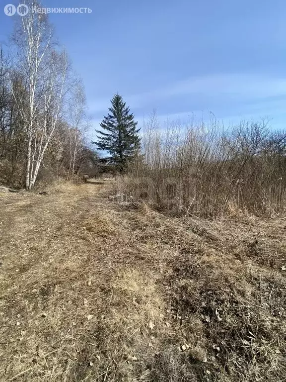 Участок в Амурская область, Благовещенск (10 м) - Фото 1