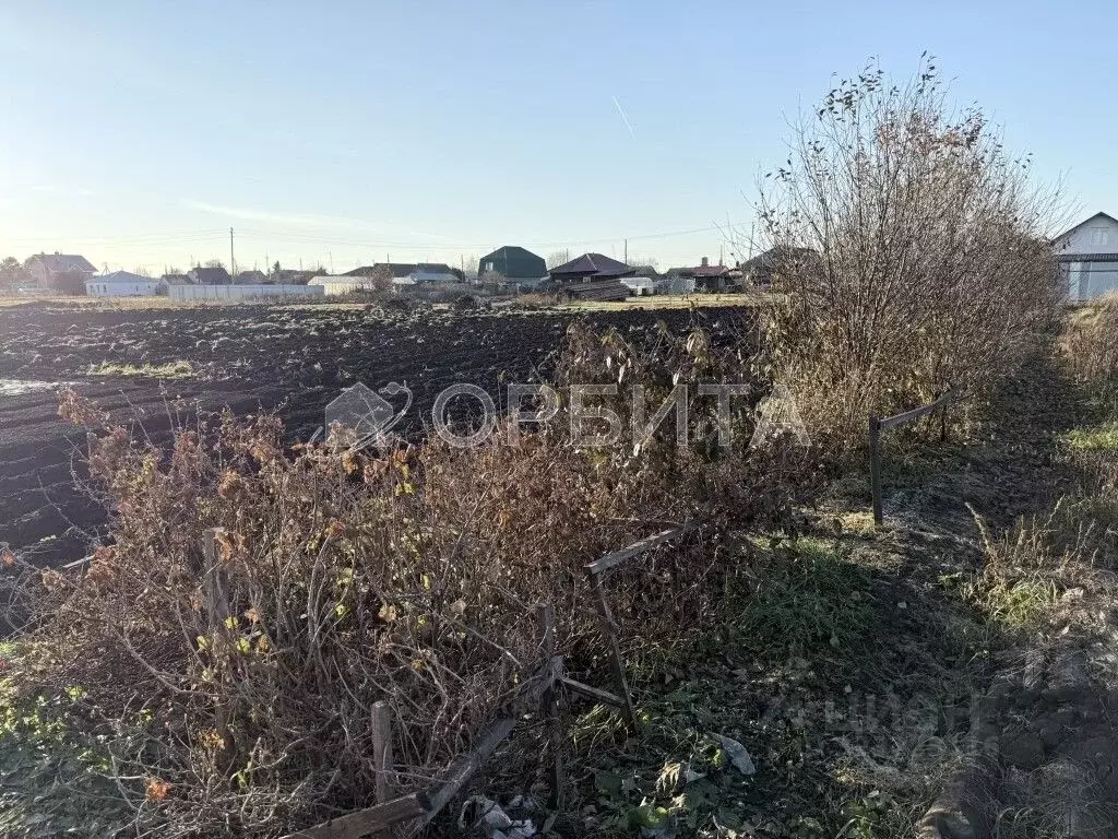 Участок в Тюменская область, Тюменский муниципальный округ, с. ... - Фото 2