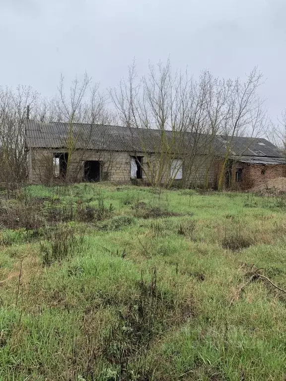 Дом в Белгородская область, Яковлевский муниципальный округ, с. Сажное ... - Фото 1