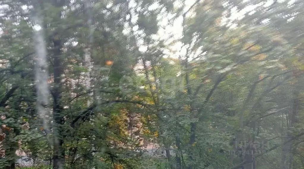 3-к кв. Башкортостан, Уфа Интернациональная ул., 121 (56.9 м) - Фото 2