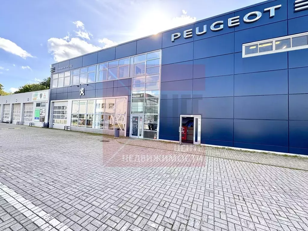 Помещение свободного назначения в Калининградская область, Калининград ... - Фото 1