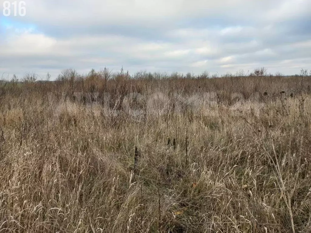 Участок в Белгородская область, Белгородский район, Беловское с/пос, ... - Фото 0