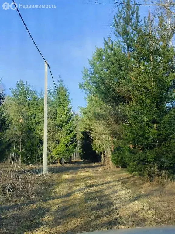 Участок в Волосовский район, Бегуницкое сельское поселение, деревня ... - Фото 2