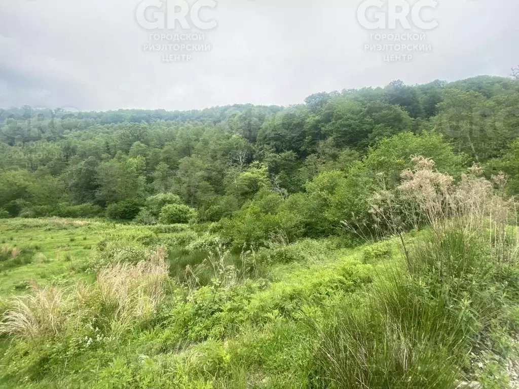 Участок в Краснодарский край, Сочи городской округ, с. Липники ул. ... - Фото 0