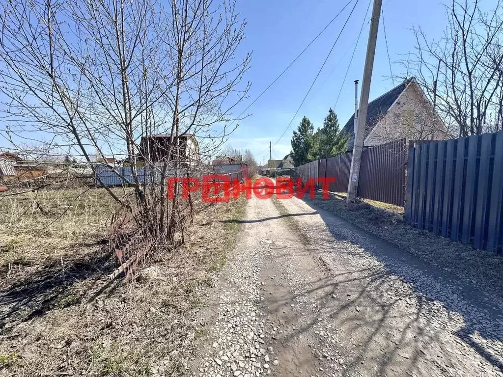 Участок в Новосибирская область, Искитимский район, Мичуринский ... - Фото 2