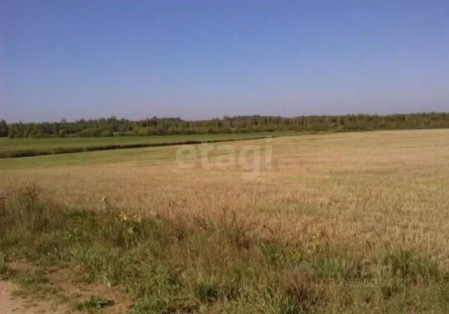 Участок в Вологодская область, Кирилловский муниципальный округ, д. ... - Фото 2