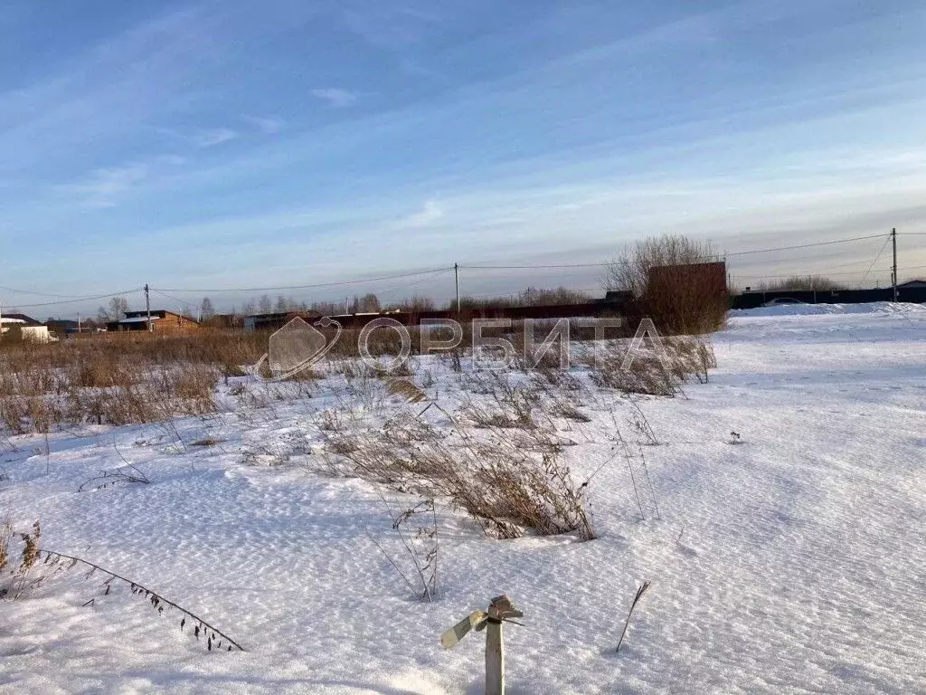 Участок в Тюменская область, Тюмень Царево садовое товарищество, ул. ... - Фото 1