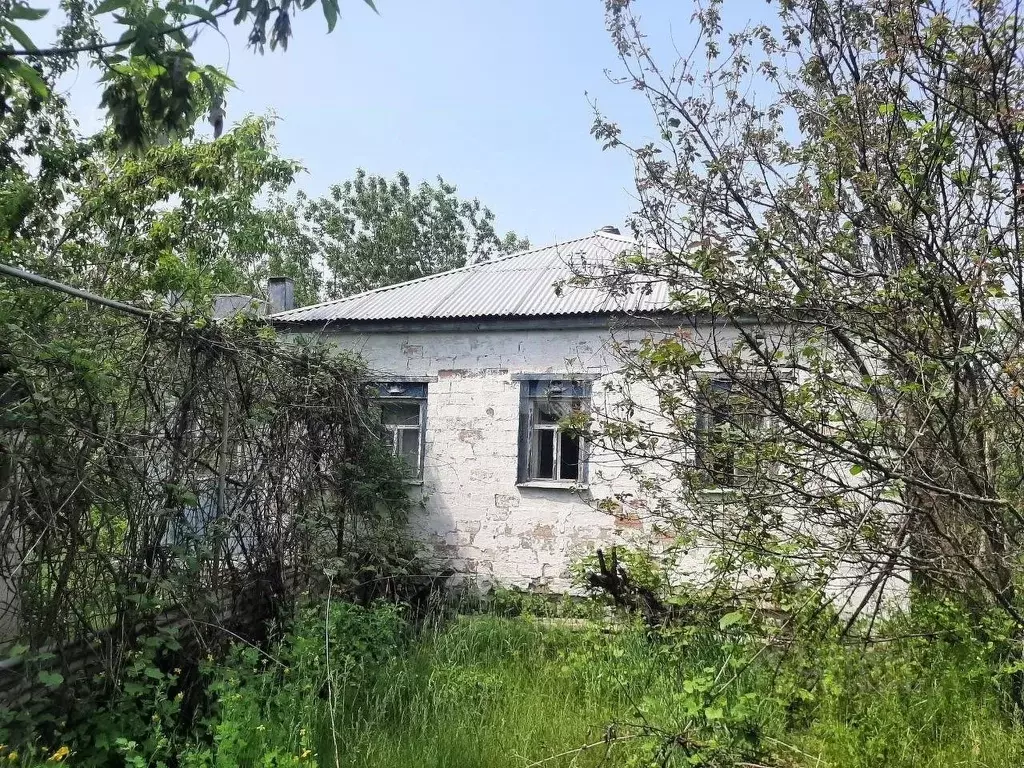 Дом в Белгородская область, Волоконовский район, Пятницкое рп ул. ... - Фото 0