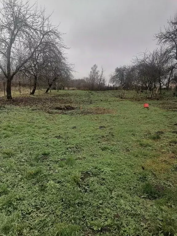 Участок в Орловская область, Мценский район, Карандаковское с/пос, д. ... - Фото 1