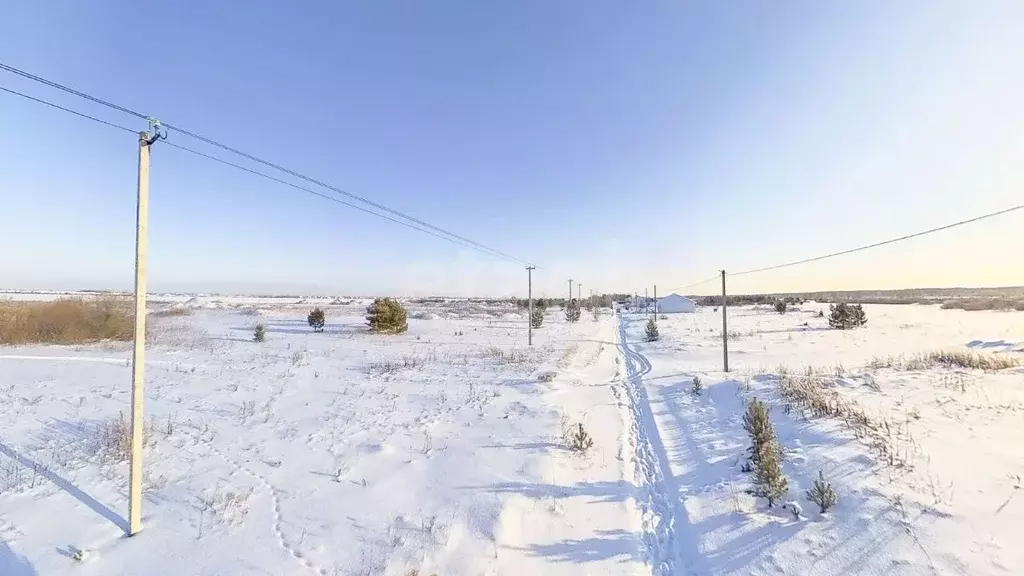 Участок в Тюменская область, Тюменский муниципальный округ, д. ... - Фото 1