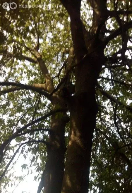 Участок в село Углянец, Колхозная улица, 22 (11 м) - Фото 1