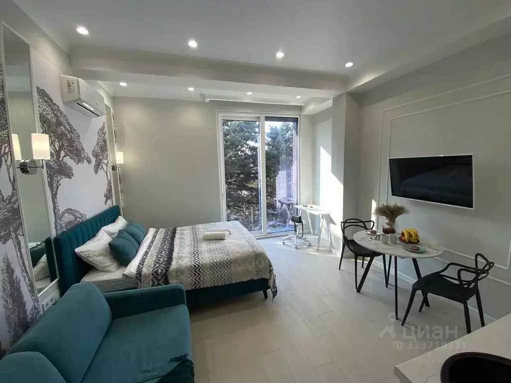 Студия Краснодарский край, Сочи ул. Ленина, 219 (25.0 м) - Фото 2