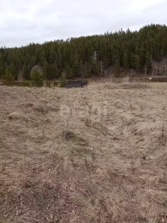 Участок в Свердловская область, муниципальное образование Алапаевское, ... - Фото 1