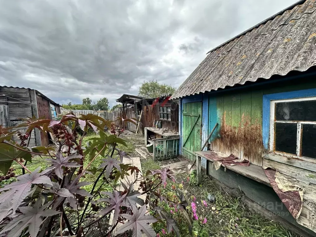 Дом в Хакасия, Алтайский район, с. Новомихайловка ул. Новая, 4 (64 м) - Фото 1