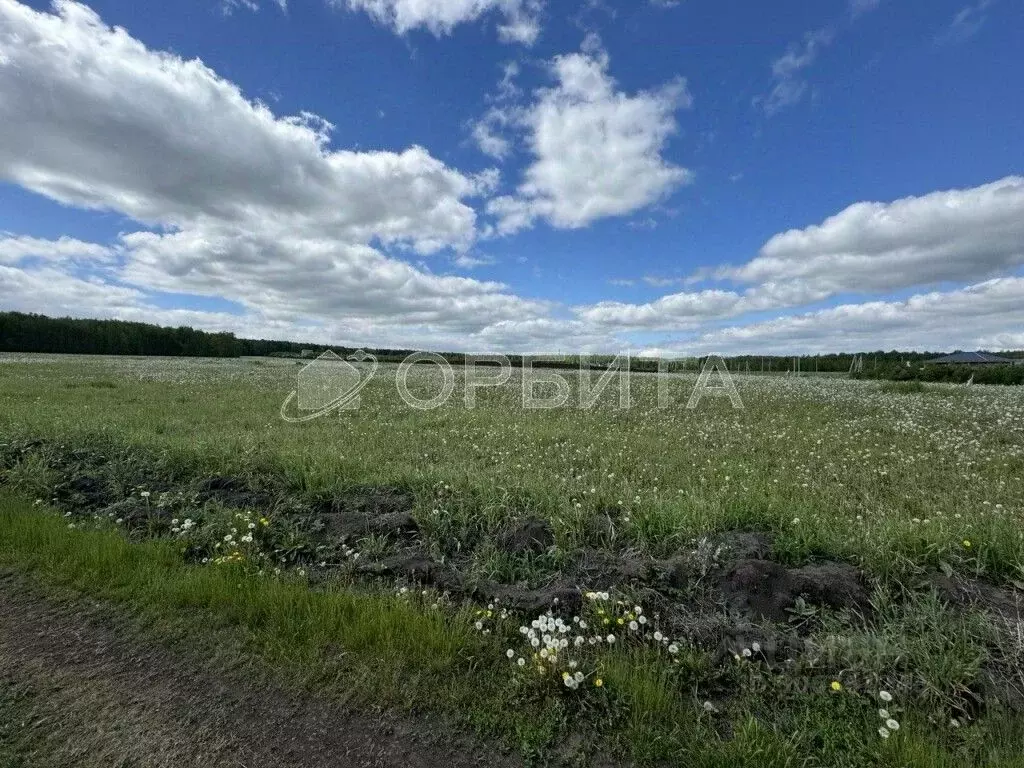 Участок в Тюменская область, Тюменский район, с. Каменка  (6.0 сот.) - Фото 1