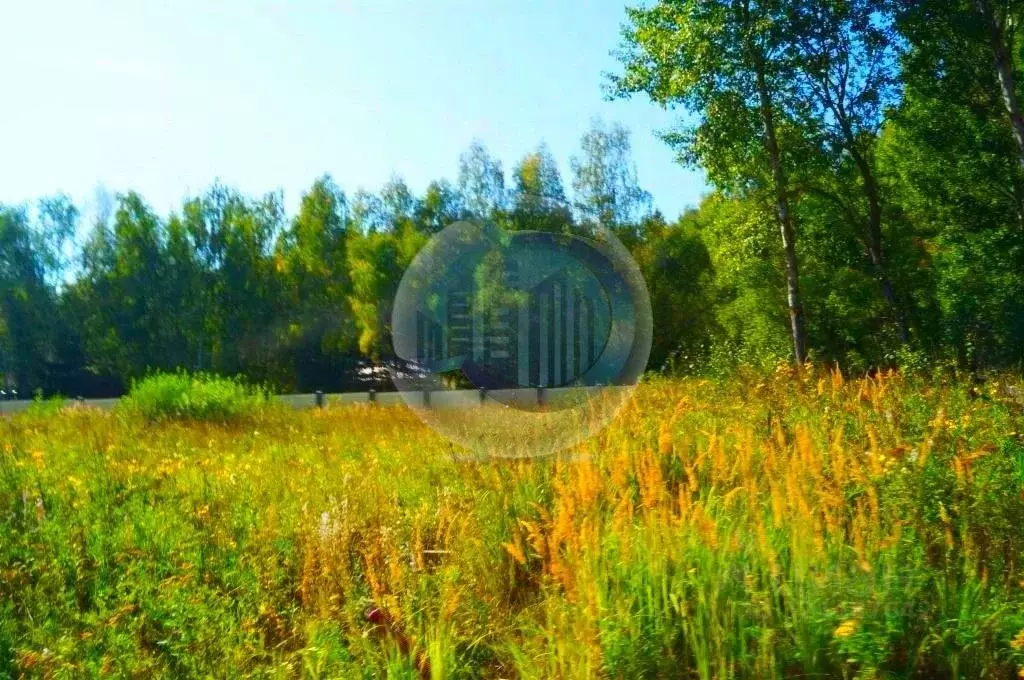 Участок в Московская область, Ленинский городской округ, д. Большое ... - Фото 1