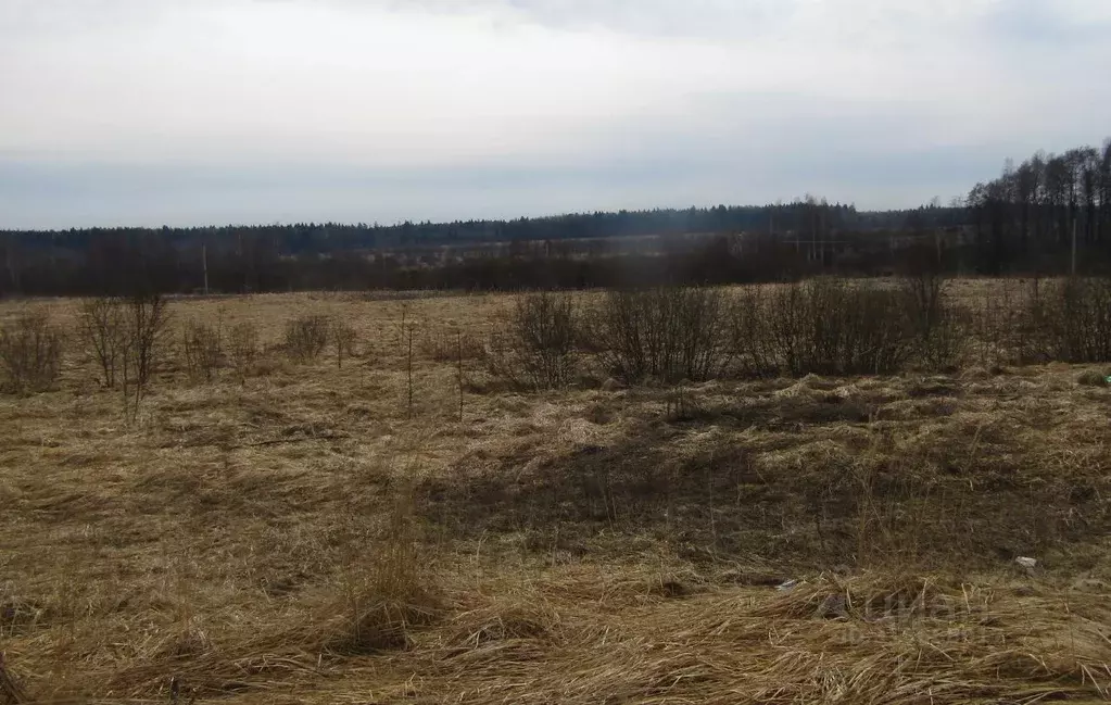 Участок в Калужская область, Мещовск городское поселение, д. ... - Фото 0