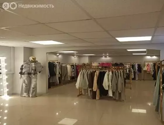 Помещение свободного назначения (48 м) - Фото 0