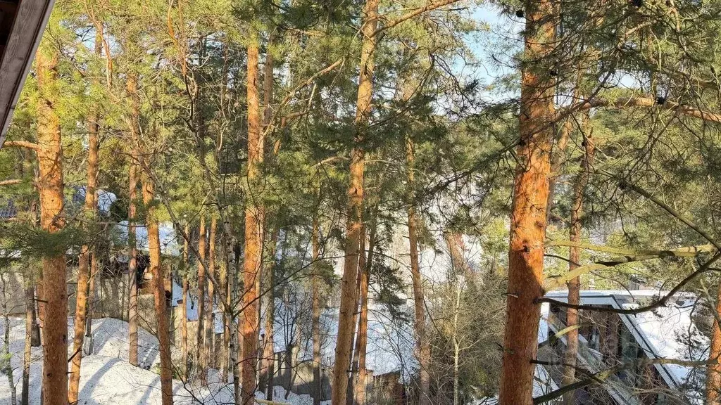 Участок в Московская область, Одинцовский городской округ, пос. ... - Фото 1