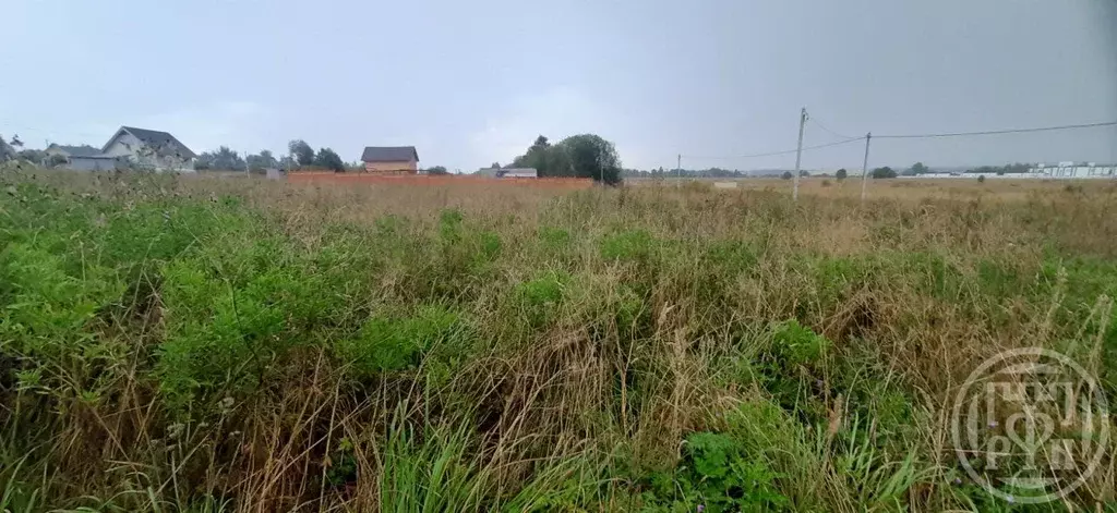 Участок в Ленинградская область, Ломоносовский район, Горбунковское ... - Фото 0