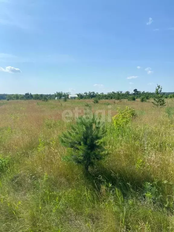 Участок в Челябинская область, Красноармейский район, Козыревское ... - Фото 1