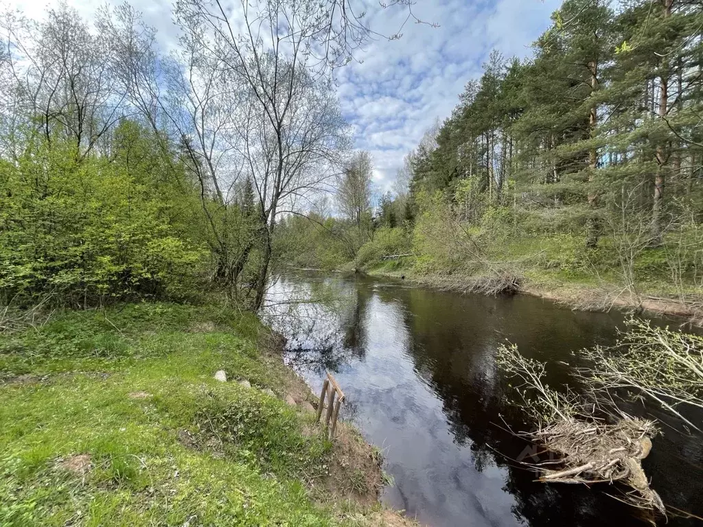 Дом в Ленинградская область, Киришский район, Будогощское городское ... - Фото 1