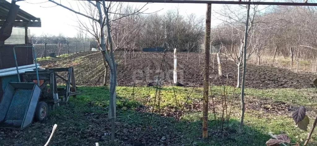 Дом в Адыгея, Шовгеновский район, Дукмасовское с/пос, Тихонов хут. ул. ... - Фото 1