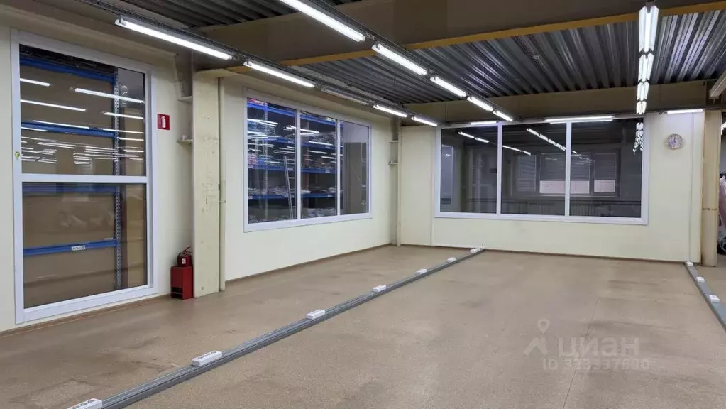 Помещение свободного назначения в Новосибирская область, Новосибирск ... - Фото 1