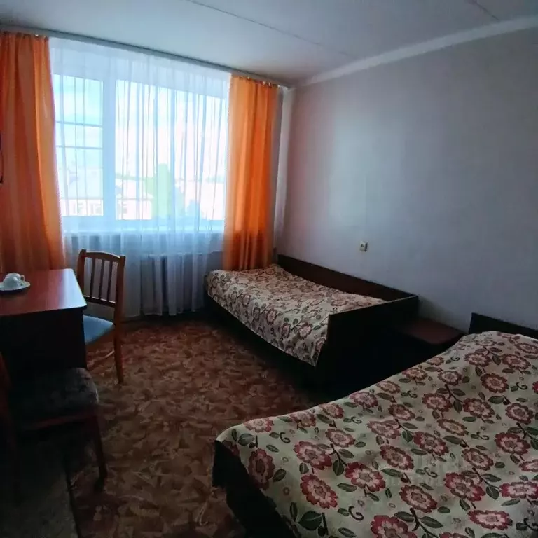 Комната Псковская область, Пушкинские Горы рп ул. Ленина, 8 (13.0 м) - Фото 1