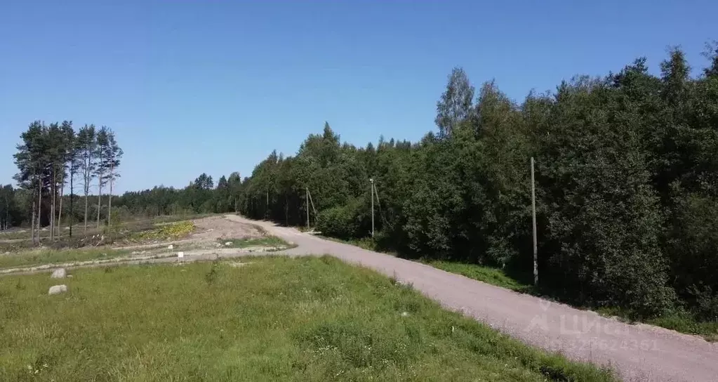 Участок в Ленинградская область, Выборгский район, Полянское с/пос, ... - Фото 2