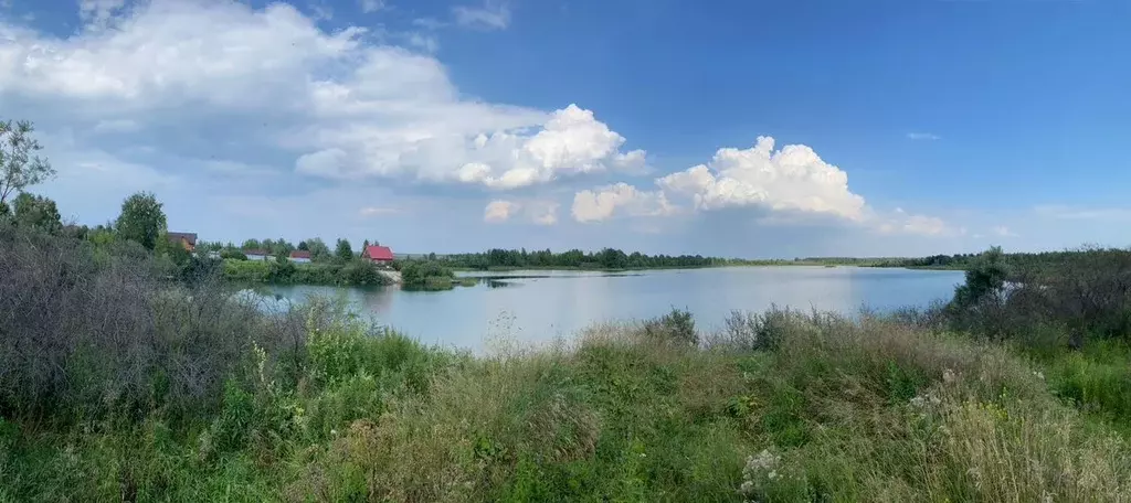 Участок в Новосибирская область, Коченевский район, Кудряши ДНП ул. ... - Фото 2