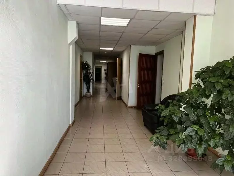 Помещение свободного назначения в Москва Деловая ул., 11К1 (6 м) - Фото 2