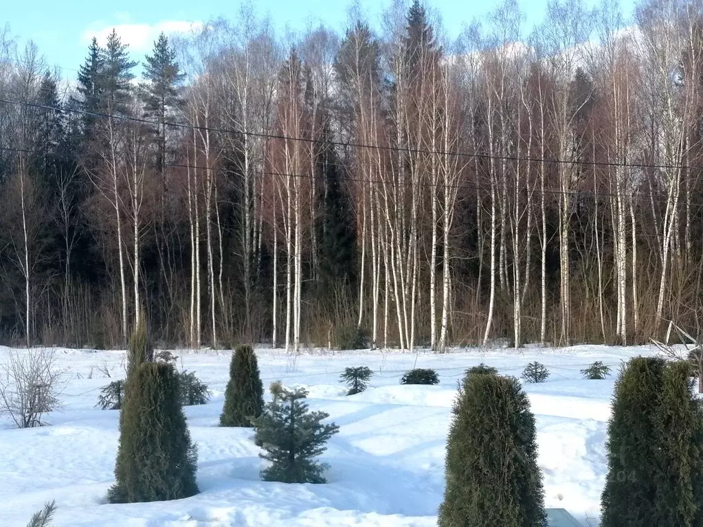 Участок в Ярославская область, Ярославский район, Кузнечихинское ... - Фото 0