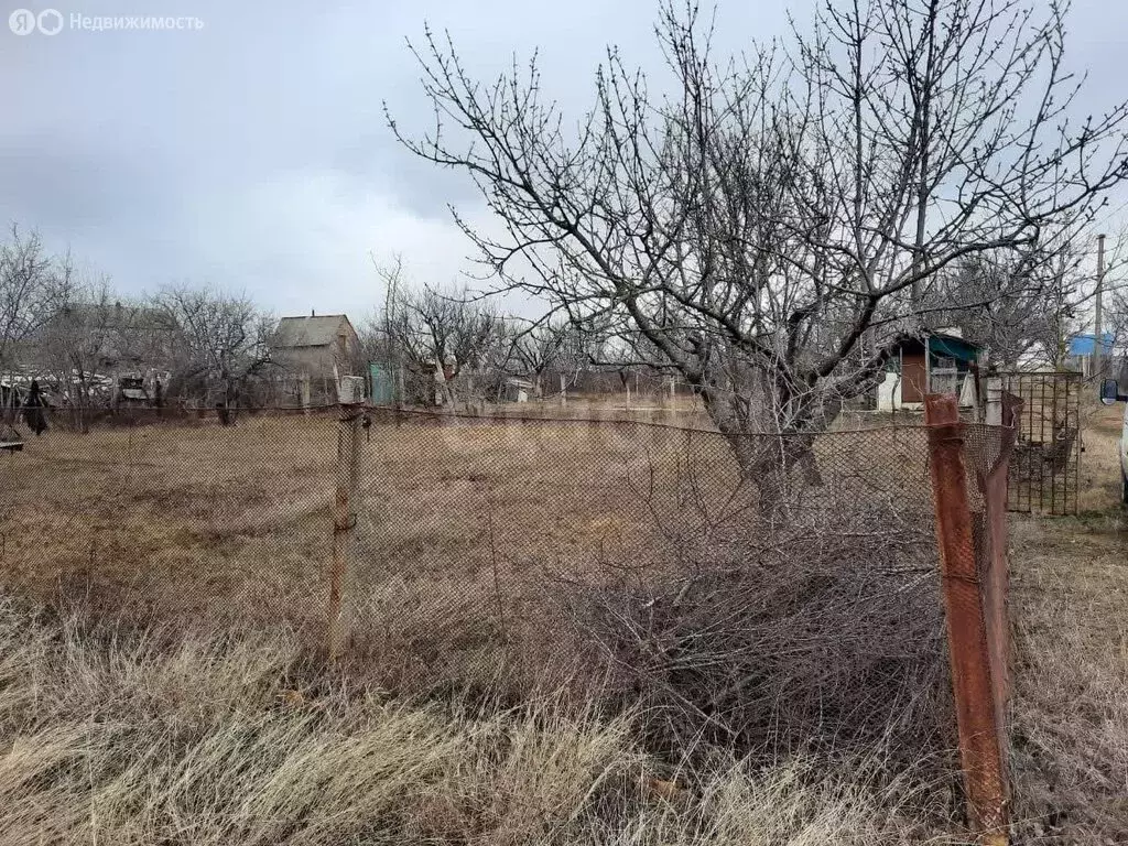 Участок в Урожайновское сельское поселение, СНТ Нефтяник (4.18 м) - Фото 2