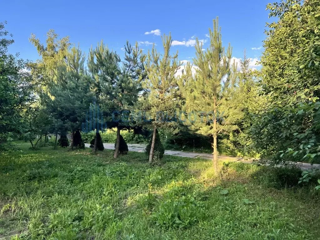 Участок в Московская область, Домодедово городской округ, д. Заболотье . - Фото 1
