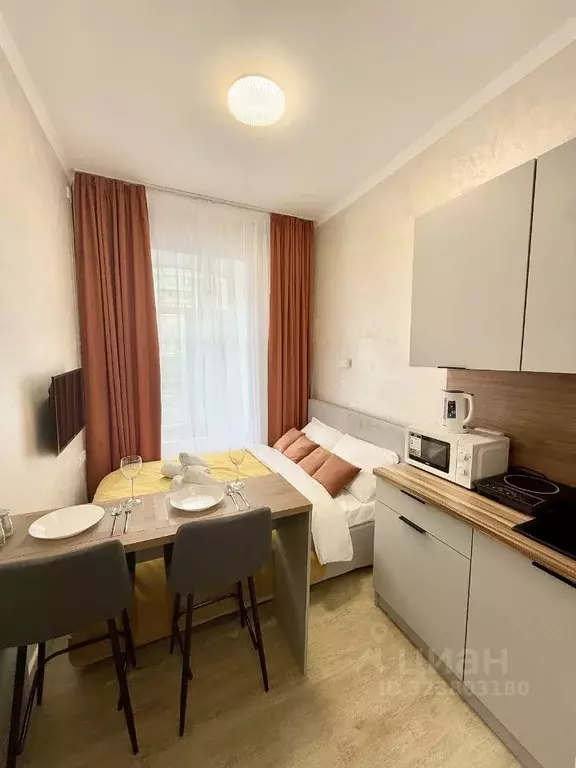 Студия Москва ул. Большая Якиманка, 35С1 (16.0 м) - Фото 2