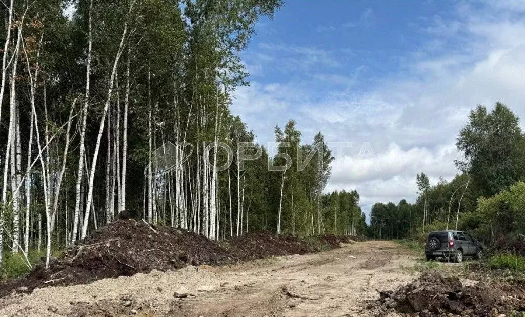 Участок в Тюменская область, Тюменский район, д. Решетникова  (6.6 ... - Фото 1