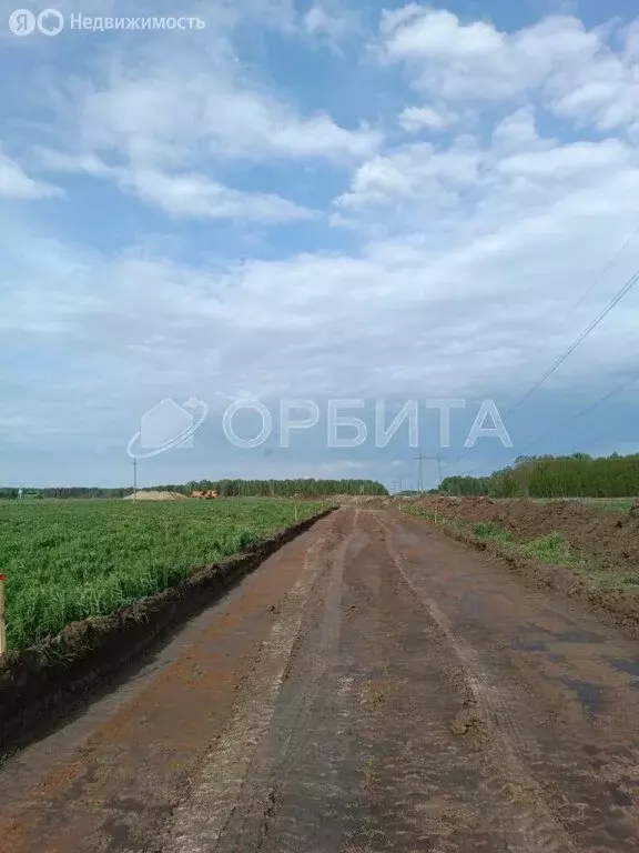 Участок в Тюменский район, село Каменка (5 м) - Фото 1