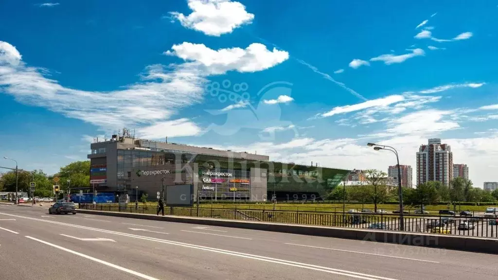 Помещение свободного назначения в Москва Кутузовский просп., 88 (3115 ... - Фото 1