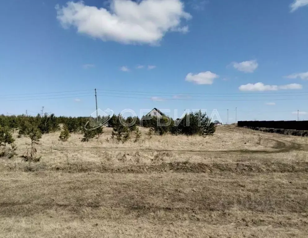 Участок в Тюменская область, Тюменский муниципальный округ, с. Борки  ... - Фото 1